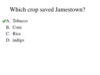 Which crop saved Jamestown?