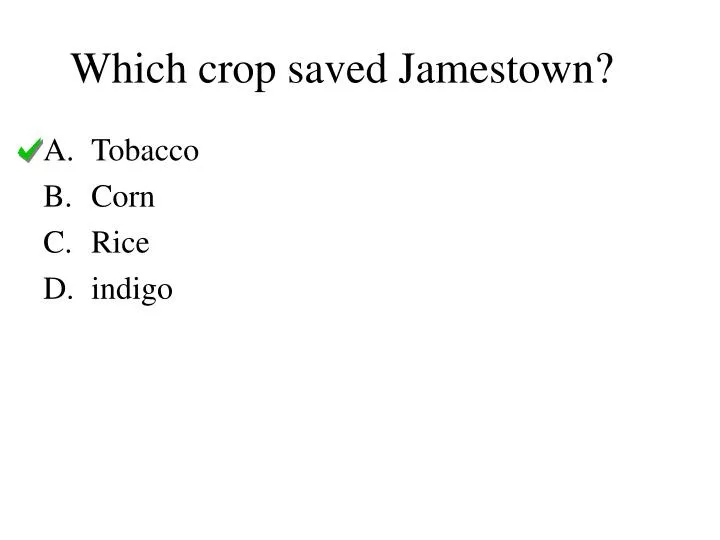 which crop saved jamestown