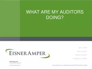 WHAT ARE MY AUDITORS DOING?