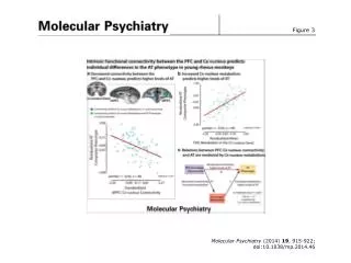 Molecular Psychiatry (2014) 19 , 915-922; doi:10.1038/mp.2014.46