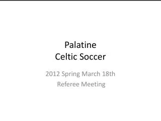 Palatine Celtic Soccer