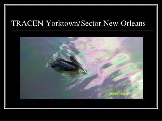 TRACEN Yorktown/Sector New Orleans