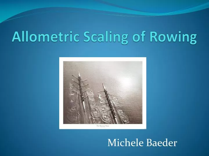 allometric scaling of rowing