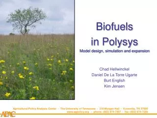 Biofuels in Polysys Model design, simulation and expansion Chad Hellwinckel