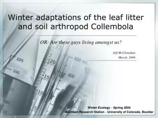 Winter adaptations of the leaf litter and soil arthropod Collembola