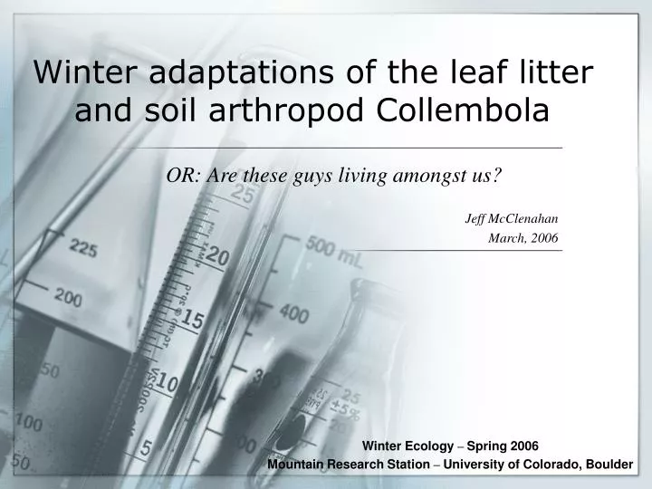 winter adaptations of the leaf litter and soil arthropod collembola