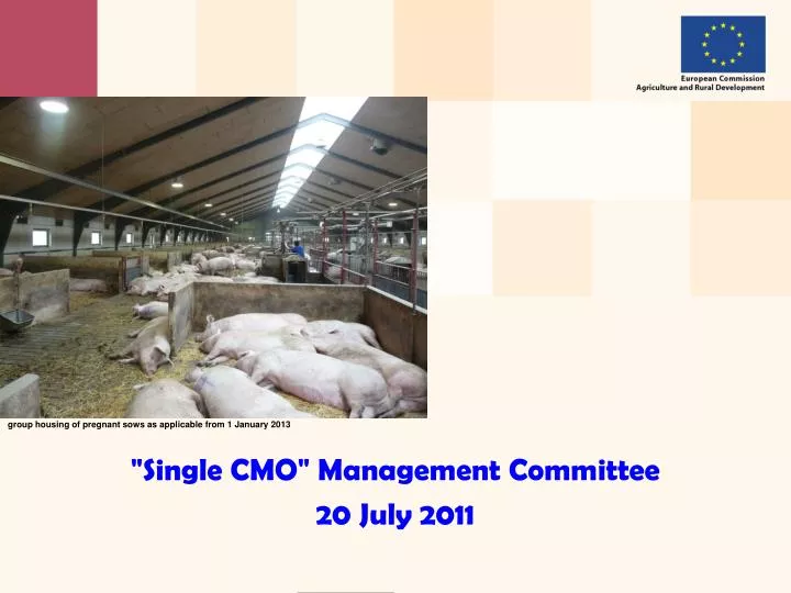 single cmo management committee 20 july 2011