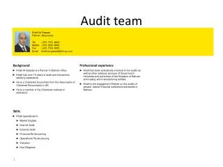 Audit team