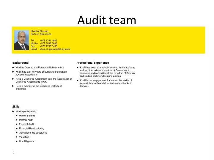 audit team