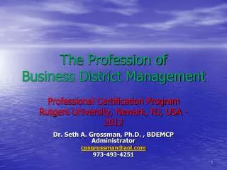 The Profession of Business District Management