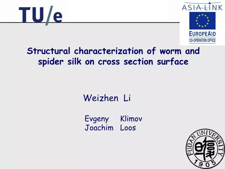structural characterization of worm and spider silk on cross section surface