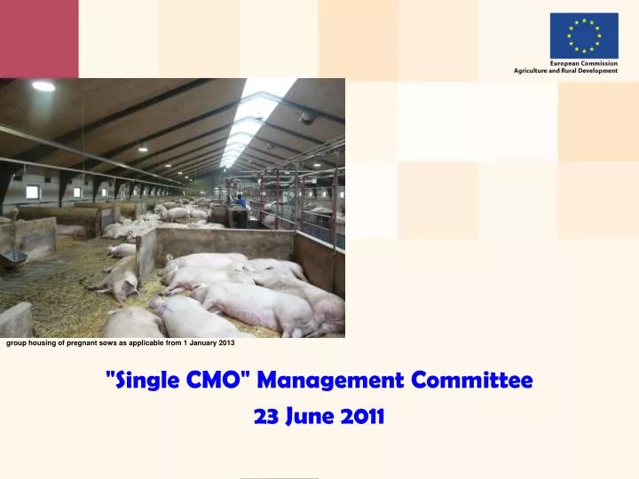 single cmo management committee 23 june 2011