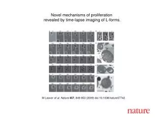 M Leaver et al. Nature 457 , 849-853 (2009) doi:10.1038/nature07742