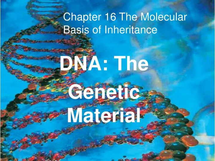 dna the genetic material