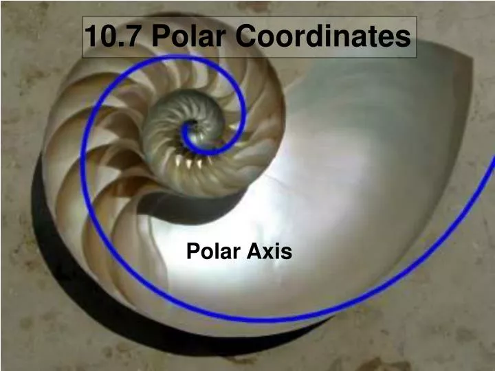 10 7 polar coordinates