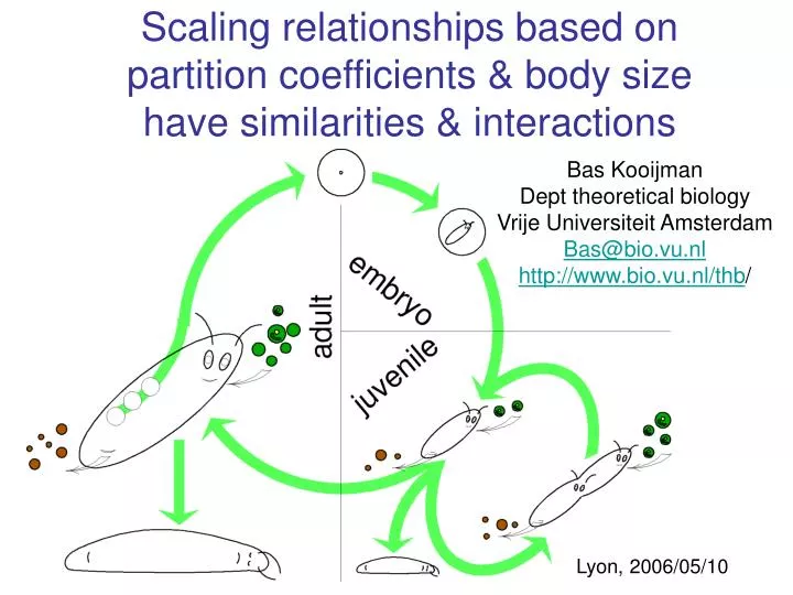 scaling relationships based on partition coefficients body size have similarities interactions