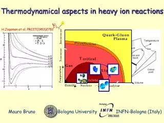 Thermodynamical aspects in heavy ion reactions