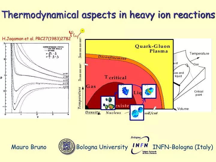 thermodynamical aspects in heavy ion reactions