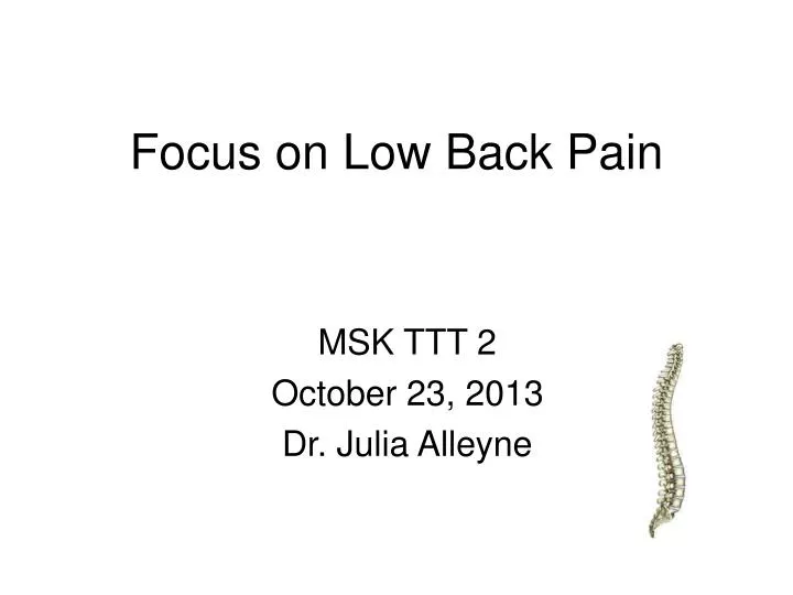 focus on low back pain