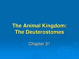 The Animal Kingdom: The Deuterostomes