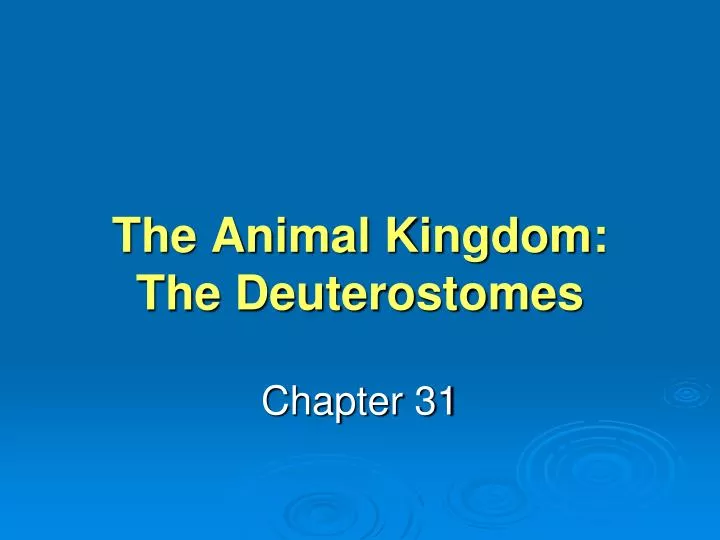 the animal kingdom the deuterostomes