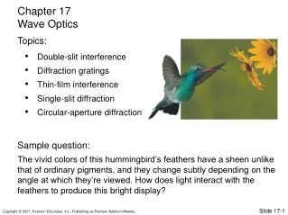 Double-slit interference Diffraction gratings Thin-film interference Single-slit diffraction