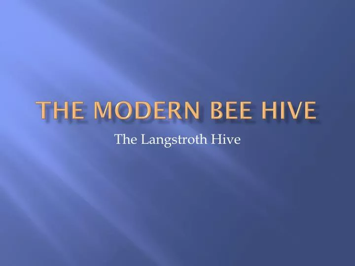 the modern bee hive