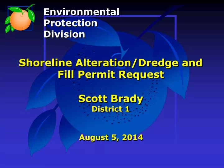 shoreline alteration dredge and fill permit request scott brady district 1