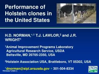 Performance of Holstein clones in the United States