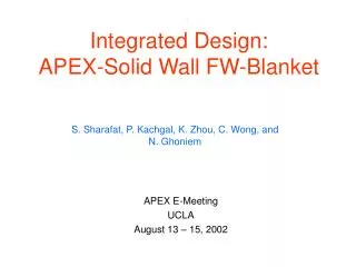 Integrated Design: APEX-Solid Wall FW-Blanket