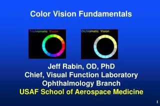 Color Vision Fundamentals