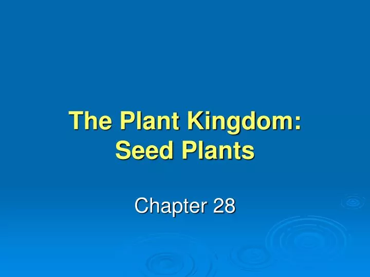 the plant kingdom seed plants