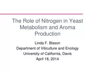 The Role of Nitrogen in Yeast Metabolism and Aroma Production