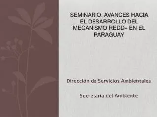 Seminario: Avances hacia el Desarrollo del Mecanismo REDD+ en el Paraguay