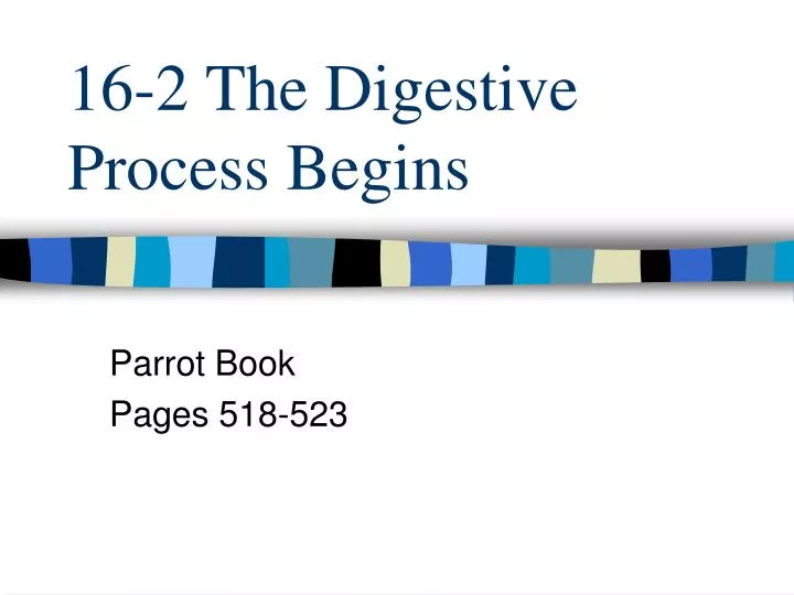 16 2 the digestive process begins