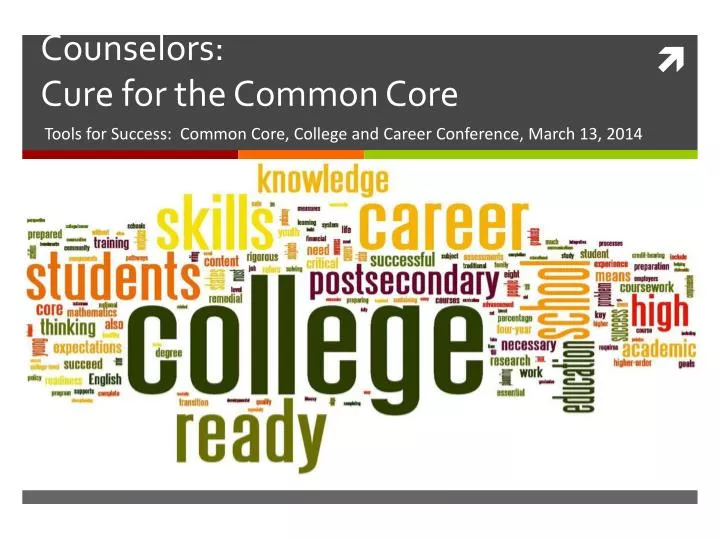 counselors cure for the common core
