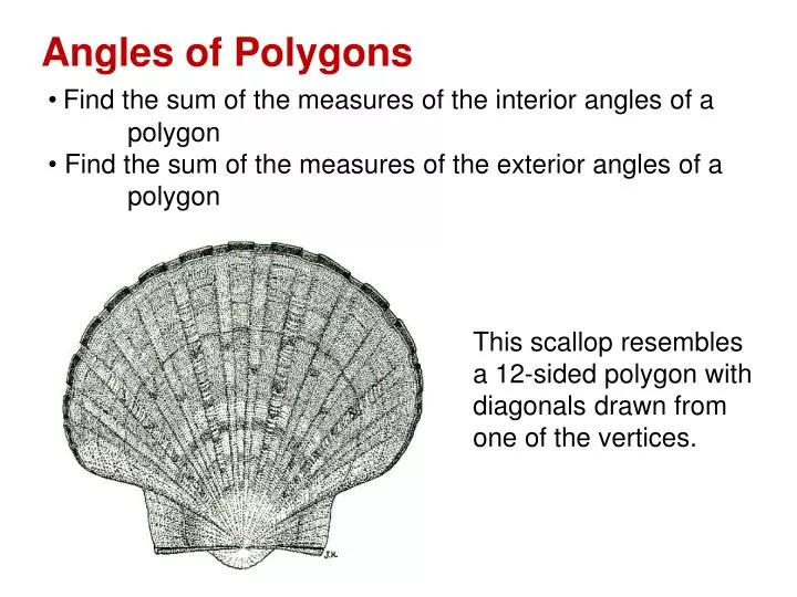 Ppt Angles Of Polygons Powerpoint