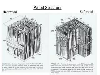 Wood Structure