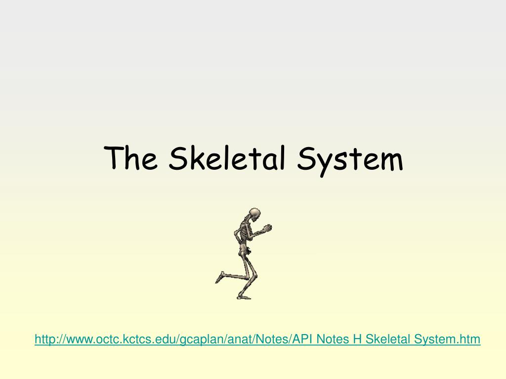 PPT - The Skeletal System PowerPoint Presentation, free download - ID ...