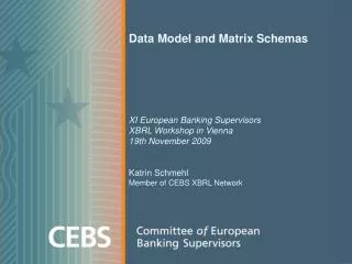 Data Model and Matrix Schemas
