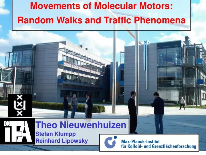 movements of molecular motors random walks and traffic phenomena