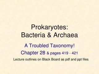 Prokaryotes: Bacteria &amp; Archaea