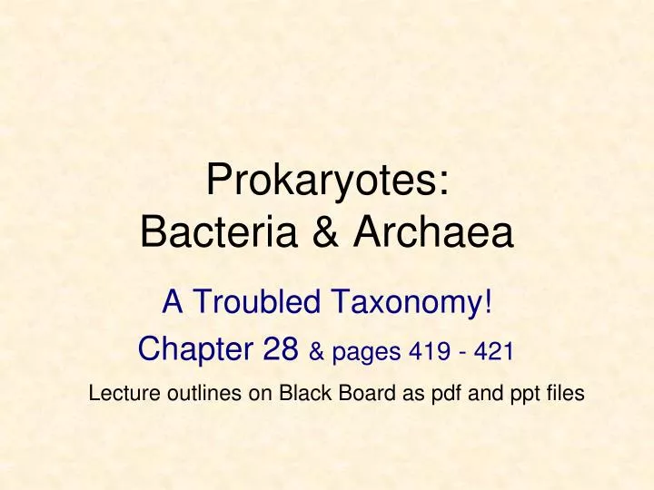 prokaryotes bacteria archaea