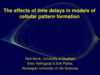 The effects of time delays in models of cellular pattern formation