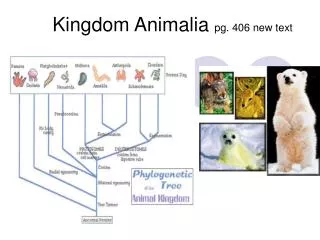 Kingdom Animalia pg. 406 new text