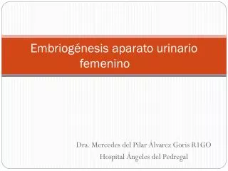 Embriogénesis aparato urinario femenino