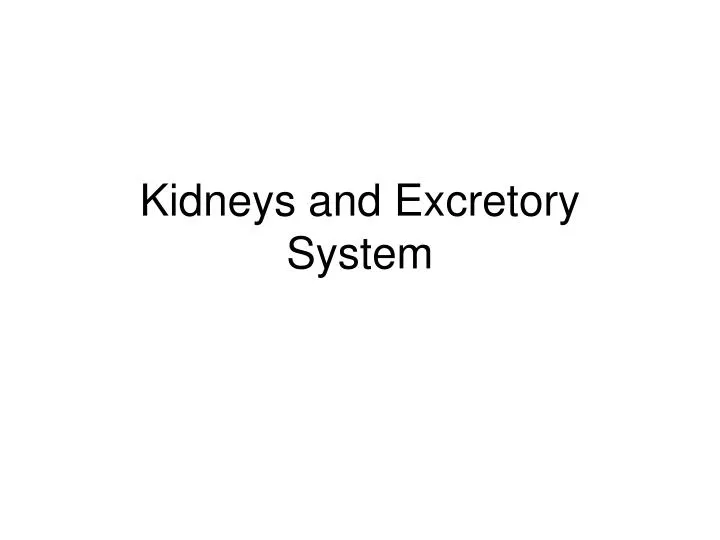 kidneys and excretory system