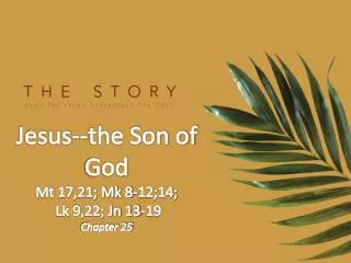 Jesus--the Son of God Mt 17,21; Mk 8-12;14; Lk 9,22; Jn 13-19 Chapter 25