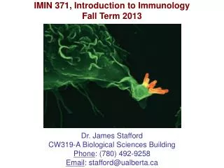 IMIN 371, Introduction to Immunology Fall Term 2013