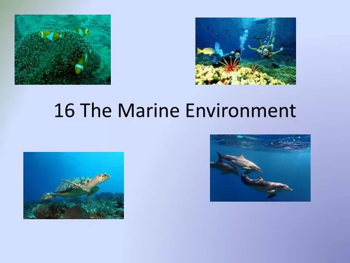 16 the marine environment